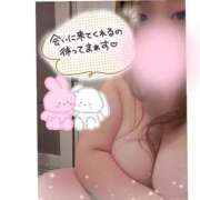 ヒメ日記 2025/12/20 10:49 投稿 なるみ 愛媛松山ちゃんこ