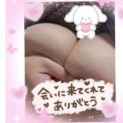 ヒメ日記 2025/12/31 11:09 投稿 なるみ 愛媛松山ちゃんこ