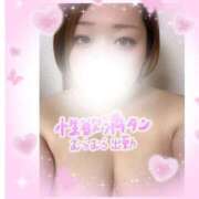 ヒメ日記 2026/02/04 18:39 投稿 なるみ 愛媛松山ちゃんこ