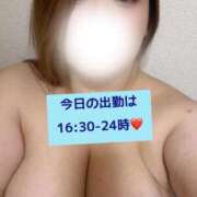 ヒメ日記 2026/02/13 07:19 投稿 なるみ 愛媛松山ちゃんこ