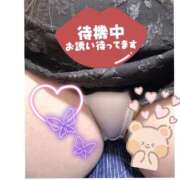 ヒメ日記 2026/02/13 19:19 投稿 なるみ 愛媛松山ちゃんこ