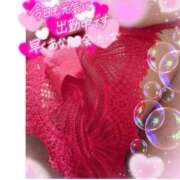 ヒメ日記 2026/02/17 16:39 投稿 なるみ 愛媛松山ちゃんこ