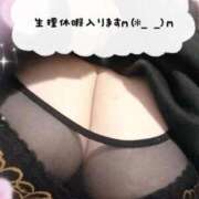 ヒメ日記 2026/02/19 16:49 投稿 なるみ 愛媛松山ちゃんこ