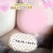 ヒメ日記 2026/03/04 08:39 投稿 なるみ 愛媛松山ちゃんこ