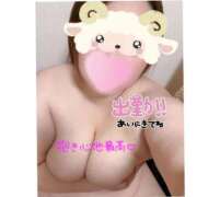 ヒメ日記 2026/03/11 20:58 投稿 なるみ 愛媛松山ちゃんこ