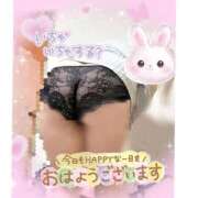 ヒメ日記 2026/03/14 14:38 投稿 なるみ 愛媛松山ちゃんこ