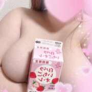 ヒメ日記 2026/03/17 17:09 投稿 なるみ 愛媛松山ちゃんこ