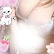 ヒメ日記 2026/04/03 17:19 投稿 なるみ 愛媛松山ちゃんこ