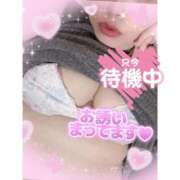 ヒメ日記 2026/04/03 21:49 投稿 なるみ 愛媛松山ちゃんこ