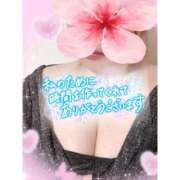 ヒメ日記 2026/04/09 15:49 投稿 なるみ 愛媛松山ちゃんこ