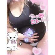 ヒメ日記 2026/04/10 17:49 投稿 なるみ 愛媛松山ちゃんこ