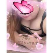 ヒメ日記 2026/04/14 19:59 投稿 なるみ 愛媛松山ちゃんこ