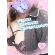 ヒメ日記 2026/04/14 22:15 投稿 なるみ 愛媛松山ちゃんこ