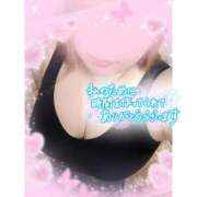 ヒメ日記 2026/04/15 08:09 投稿 なるみ 愛媛松山ちゃんこ