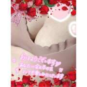 ヒメ日記 2026/04/15 08:29 投稿 なるみ 愛媛松山ちゃんこ