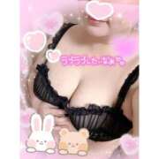 ヒメ日記 2026/04/18 16:59 投稿 なるみ 愛媛松山ちゃんこ