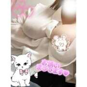 ヒメ日記 2026/04/18 19:19 投稿 なるみ 愛媛松山ちゃんこ