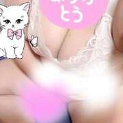 ヒメ日記 2026/05/13 18:21 投稿 なるみ 愛媛松山ちゃんこ