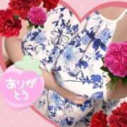 ヒメ日記 2026/06/07 15:41 投稿 なるみ 愛媛松山ちゃんこ
