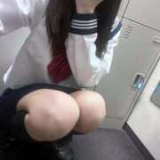 れん 土曜日ー‼️ カリビアン