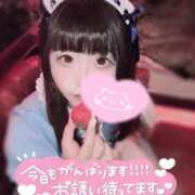 ヒメ日記 2026/02/10 15:38 投稿 まな One More 奥様　池袋店