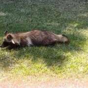 ヒメ日記 2025/12/08 15:06 投稿 ひろみ 熟女総本店 日本橋ミナミエリア店