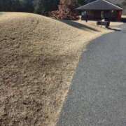 ひろみ 明日出勤します 熟女総本店 日本橋ミナミエリア店