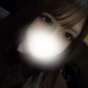 ヒメ日記 2025/11/19 21:21 投稿 ねね☆体験入店♪ 素人美少女専門　新横浜アンジェリーク（アンジェリークグループ）