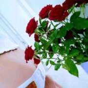 ももこ 体験入店♡ マダム錦糸町