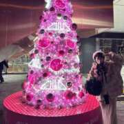 ヒメ日記 2025/12/17 11:36 投稿 うに バイオレンス