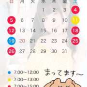ヒメ日記 2026/06/22 22:25 投稿 うに バイオレンス