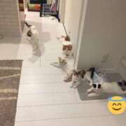 ヒメ日記 2025/11/19 19:42 投稿 あみ 丸妻 厚木店