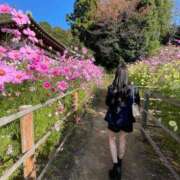 ヒメ日記 2025/11/25 12:17 投稿 美優-Miyuu- 姉新地