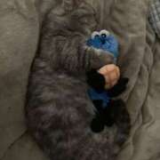 ヒメ日記 2025/12/14 22:55 投稿 まゆ 大阪ぽっちゃりマニア 谷九店