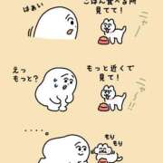 ヒメ日記 2025/12/29 08:45 投稿 まゆ 大阪ぽっちゃりマニア 谷九店