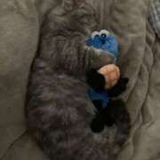 ヒメ日記 2026/03/12 19:41 投稿 まゆ 大阪ぽっちゃりマニア 谷九店