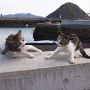 ヒメ日記 2026/03/18 08:07 投稿 まゆ 大阪ぽっちゃりマニア 谷九店