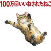 ヒメ日記 2026/06/20 11:56 投稿 まゆ 大阪ぽっちゃりマニア 谷九店