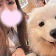 ヒメ日記 2026/05/09 12:21 投稿 あかり CLASSY.名古屋・新栄店
