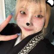 ヒメ日記 2026/02/01 16:09 投稿 めるる スピードエコ日本橋店