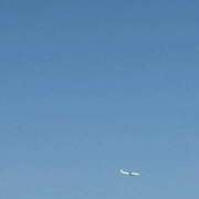 ヒメ日記 2026/04/12 14:26 投稿 ひなた Welcome Cafe(ウェルカムカフェ) 吉祥寺店