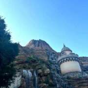 ヒメ日記 2026/04/14 15:08 投稿 ひなた Welcome Cafe(ウェルカムカフェ) 吉祥寺店