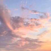 ヒメ日記 2026/04/23 16:58 投稿 ひなた Welcome Cafe(ウェルカムカフェ) 吉祥寺店