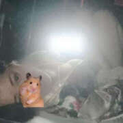 ヒメ日記 2025/12/19 11:44 投稿 みつ YESグループ　華女