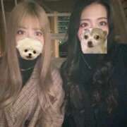 ヒメ日記 2025/11/19 00:26 投稿 ☆あおい☆ Kiseki