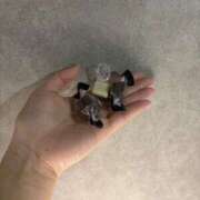 ヒメ日記 2026/03/18 21:00 投稿 富士宮みお【PREMIUM】 素人専門　街角レディ