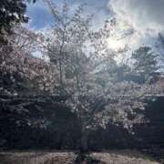 ヒメ日記 2026/04/05 17:50 投稿 富士宮みお【PREMIUM】 素人専門　街角レディ