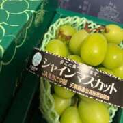 ヒメ日記 2026/08/16 11:26 投稿 さき 新潟デリヘル倶楽部