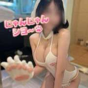 ヒメ日記 2026/05/15 14:36 投稿 ひよん The White
