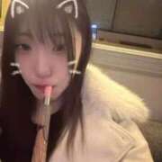 ヒメ日記 2025/11/24 11:54 投稿 ゆう めちゃカワ女子 小田原早川店